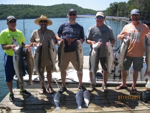 Nice Striped Bass